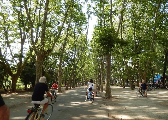 Morgana В'яреджо