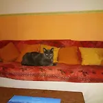 Morgana Otel Viareggio