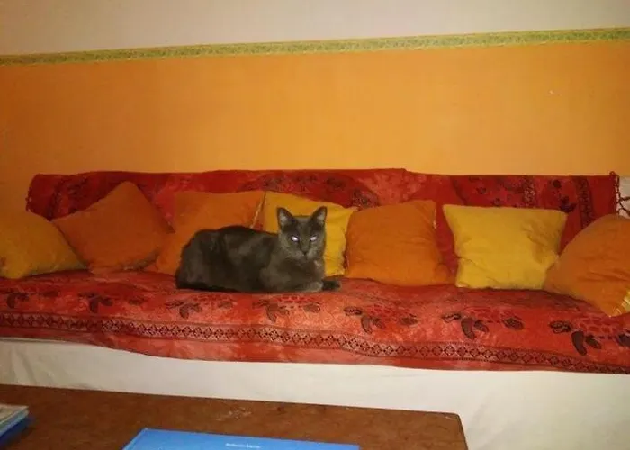 Morgana Hotel Viareggio